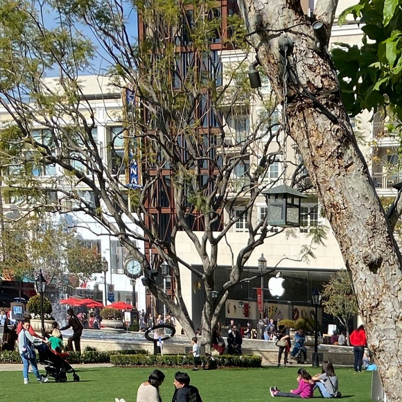 bellaberrios746